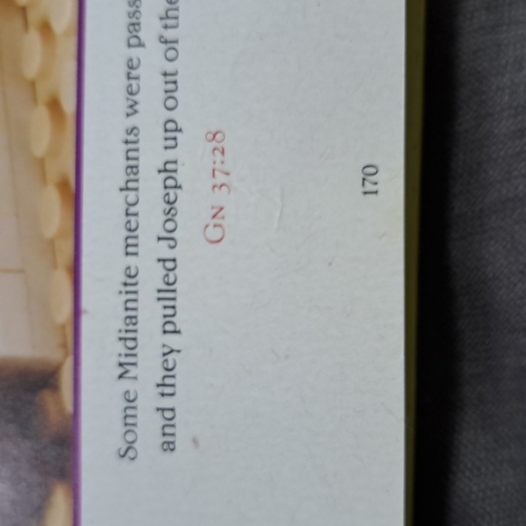 The Brick Testament: Stories From The Book of Genesis Brendan P. Smith G - Picture 13 of 13